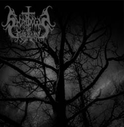 Shadows Of Paragon : Shadows of Paragon